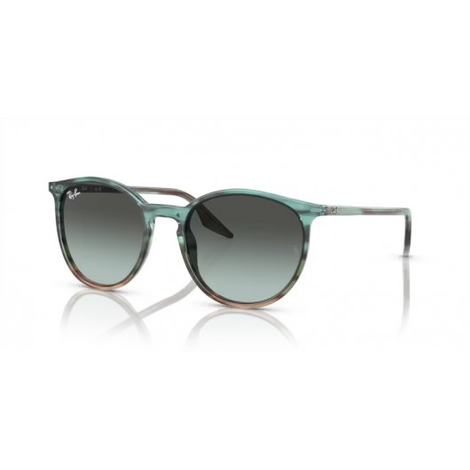 Ray Ban RB2204 1394GK