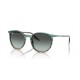 Ray Ban RB2204 1394GK