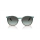 Ray Ban RB2204 1394GK