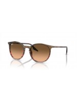 Ray Ban RB2204 13953B Ray Ban RB2204 13953B
