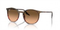 Ray Ban RB2204 13953B