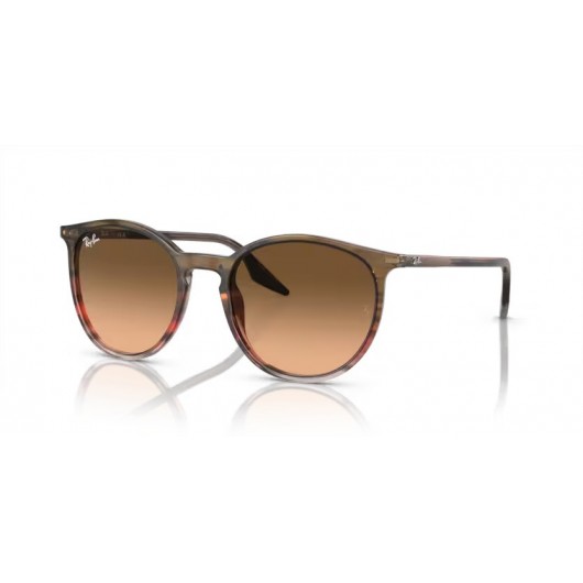 Ray Ban RB2204 13953B