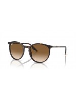 Ray Ban RB2204 902/51