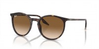 Ray Ban RB2204 902/51