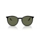 Ray Ban RB2204 919/58