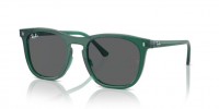 Ray Ban RB2210 6615B1