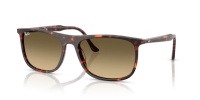 Ray Ban RB2216 14290A