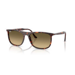 Ray Ban RB2216 14290A