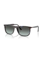 Ray Ban RB2216 1430GK Ray Ban RB2216 1430GK
