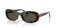 Ray Ban RB2221 902/31