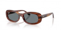 Ray Ban RB2221 954/62