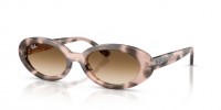Ray Ban RB2223 144951