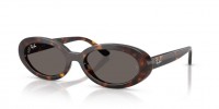 Ray Ban RB2223 902/B1