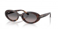 Ray Ban RB2223 902/M3