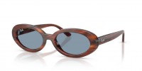 Ray Ban RB2223 954/56