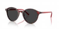 Ray Ban BERNARD RB2230 141948