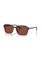 Ray Ban RB2231 1416C5 Raimond Ray Ban RB2231 1416C5 Raimond