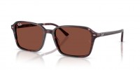 Ray Ban RB2231 1416C5 Raimond