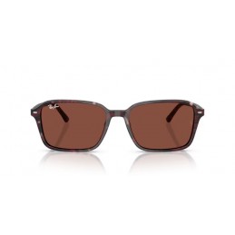 Ray Ban RB2231 1416C5 Raimond