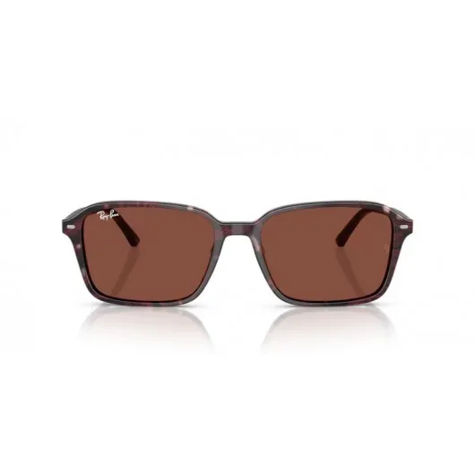 Ray Ban RB2231 1416C5 Raimond Ray Ban RB2231 1416C5 Raimond