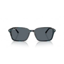 Ray Ban RB2231 1417R5 Raimond