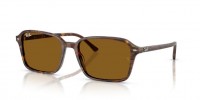 Ray Ban RB2231 141833 Raimond