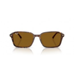 Ray Ban RB2231 141833 Raimond