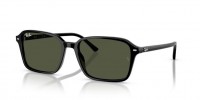 Ray Ban RB2231 901/31 Raimond