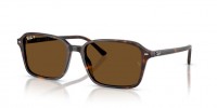 Ray Ban RB2231 902/57 Polarized Raimond