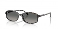 Ray Ban RB2232 133371