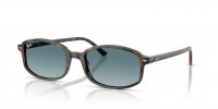 Ray Ban RB2232 13563M