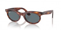 Ray Ban Wayfarer oval RB2242 954/3R
