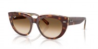 Ray Ban Doreen RB2286 141451