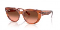 Ray Ban Doreen RB2286 1415A5