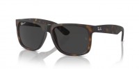 Ray Ban RB4165 865/87 JUSTIN