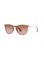 Ray Ban RB4171 659013 ERIKA Ray Ban RB4171 659013 ERIKA