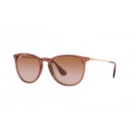 Ray Ban RB4171 659013 ERIKA Ray Ban RB4171 659013 ERIKA