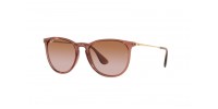 Ray Ban RB4171 659013 ERIKA