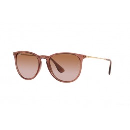 Ray Ban RB4171 659013 ERIKA
