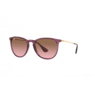 Ray Ban RB4171 659114 ERIKA Ray Ban RB4171 659114 ERIKA