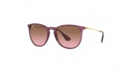 Ray Ban RB4171 659114 ERIKA