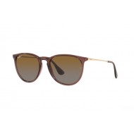 Ray Ban RB4171 6593T5 ERIKA Ray Ban RB4171 6593T5 ERIKA