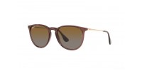 Ray Ban RB4171 6593T5 ERIKA