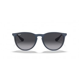 Ray Ban RB4171 60028G ERIKA Ray Ban RB4171 60028G ERIKA
