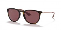 Ray Ban RB4171 639175 ERIKA	