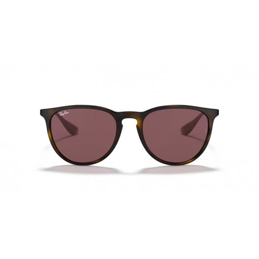 Ray Ban RB4171 639175 ERIKA Ray Ban RB4171 639175 ERIKA