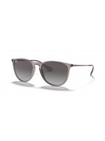 Ray Ban RB4171 65138G ERIKA Ray Ban RB4171 65138G ERIKA