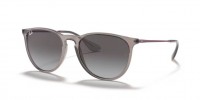 Ray Ban RB4171 65138G ERIKA