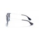 Ray Ban RB4171 65154L ERIKA Ray Ban RB4171 65154L ERIKA