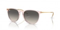 Ray Ban RB4171 674211 ERIKA